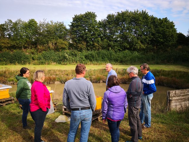 Umzug Lehrbienenstand